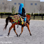 2013 0407 wcee 0285