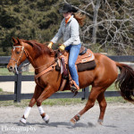 2013 0407 wcee 0874